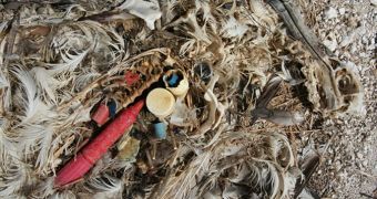 Atlantic Garbage Patch Thoroughly Investigated