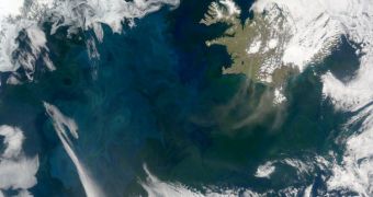 A view of the large phytoplankton bloom in the North Atlantic Ocean