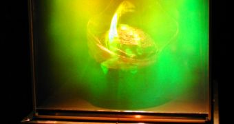 Laser hologram of a dinosaur hatching