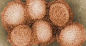 Atomic-scale models of the H1N1 influenza virus developed by Chinese researchers