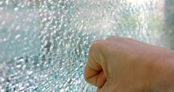 Many adolescents have experienced anger that involves property damage