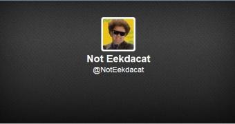 Eekdacat's Twitter account