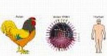 Avian Flu: The Next Epidemic?