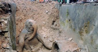 Baby elephant in India falls down a hill, lands in a muddy ditch