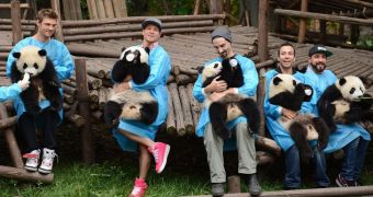 The Backstreet Boys pictured while feeding panda bears in China