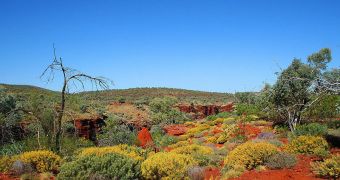 The Pilbara region of western Australia reveals bacteria nearly 3.5 billion years old