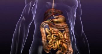 Bacteria in Our Guts Exercise Mind Control, Get Us to Eat What They Want