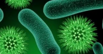 Researchers in Spain develop bacteria-killing textiles