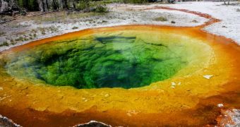 The amazing green color this hot spring displays comes from bacteria that are extremely efficient at harvesting and converting light