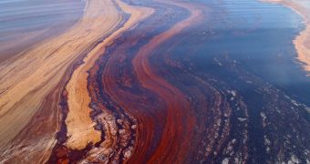 Scientists studied the interaction of the oil spill and microbes in Gulf of Mexico waters