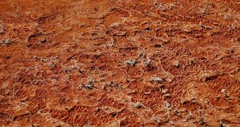 Bacteria at Bottom of Glaciers May Survive on Mars