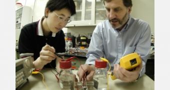 Experiment created to examine the electrochemically assisted microbial reactor system