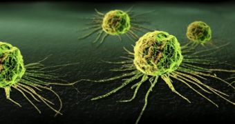 Common bacterium could one day be used to kill cancer cells