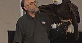 Lewis the bald eagle flew away, smashed into a window