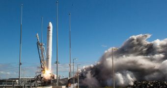 The Antares rocket launch and the bald eagle
