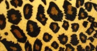 Don't overdo the leopard print this summer