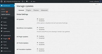 Easy Updates Manager sets up an automatic update policy for the site