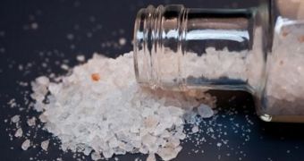 Experiments show "bath salts" are more addictive than methamphetamine