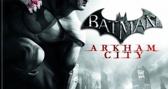 Batman: Arkham City has glitches on the Xbox 360