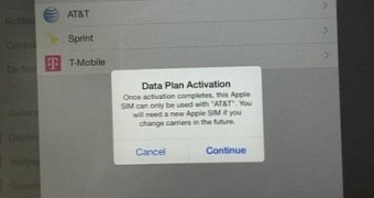 Data Plan Activation screen
