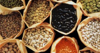 Eating beans and lentils is efficient in increasing the levels of good-cholesterol