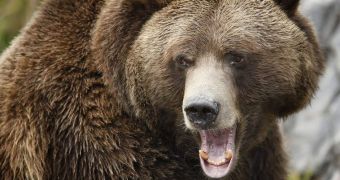 A man shoots at a grizzly bear, gets attacked
