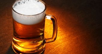 Study shows beer impairs brain function, especially when consumed to excess