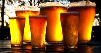 Beer lowers heart disease risk, study finds