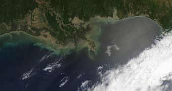 The Gulf of Mexico oil spill needs to be addressed with "extreme caution," Berkeley Lab expert says