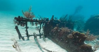 Bermuda's Stunning Underwater Views Now in Street View