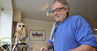 Bertie the owl must be an agoraphobic, owner says