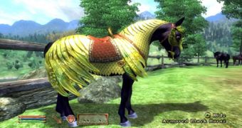 Bethesda Cuts Price on All Oblivion DLC Except Horse Armor