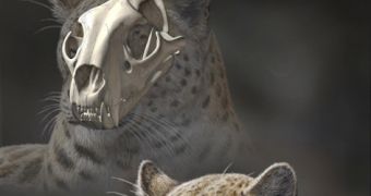 Experts find fossils belonging to big cat that lived 5.9 to 4.1 million years ago