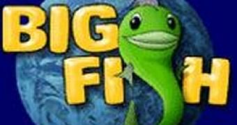 Big Fish Games Receives Record Awards