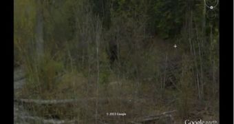 Bigfoot is caught on Google Earth