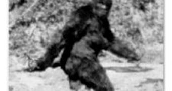 Locals on the Umatilla Indian Reservation, near Pendleton, Oregon, are convinced they are hearing Bigfoot on a swamp