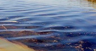 Louisiana oil spill