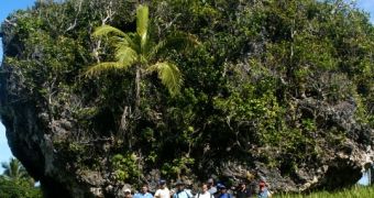 Tongan tsunami-carried coral boulder