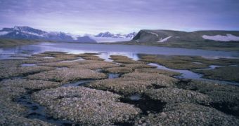 As climate change progresses, the Artic permafrost is thawing and releasing nitrogen, carbon