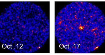 Image showing the difference in brightness for the binary pair MAXI J1409-619, taken in X-ray wavelengths