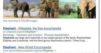 The results of a Bing search for the keyword "elephant"