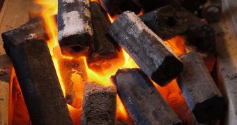 Bioenergy May Present Real Threat to the Environment