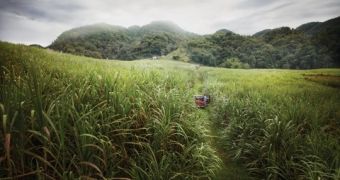 Biofuel Companies Chase the People of Guatemala Off Their Lands