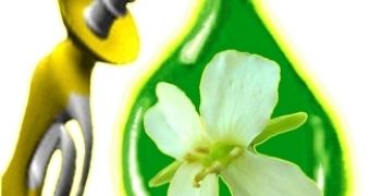 New developments in the biofuel industry