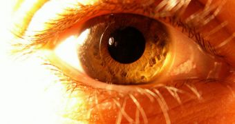 The human eye is among the most complex visual systems in the world