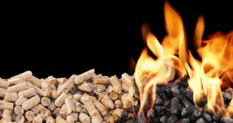Report shows biomass plants in the US cause more pollution than coal-fired ones