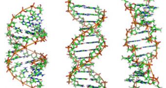 Computers made from bits of DNA and other biomolecules showed great ability to learn logical concepts