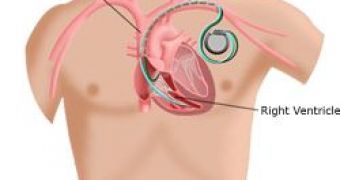 Biotechnology Closer to Replacing Electronic Pacemakers