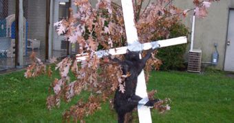 The dead cat encountered crucified with duct tape on November 1, 2002, in front of the Iowa City Animal Care and Adoption Center