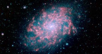 Spitzer image showing the host galaxy 7793 in infrared wavelengths